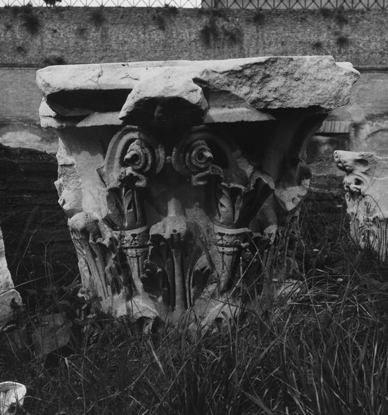 006295 - reperto - Stadio di Domiziano: capitello corinzio con decorazione vegetale di foglie d'acanto  terminanti in volute; abaco con fiore. Neg. serie 6x6 nÂ° 1115 (febbraio 1966)