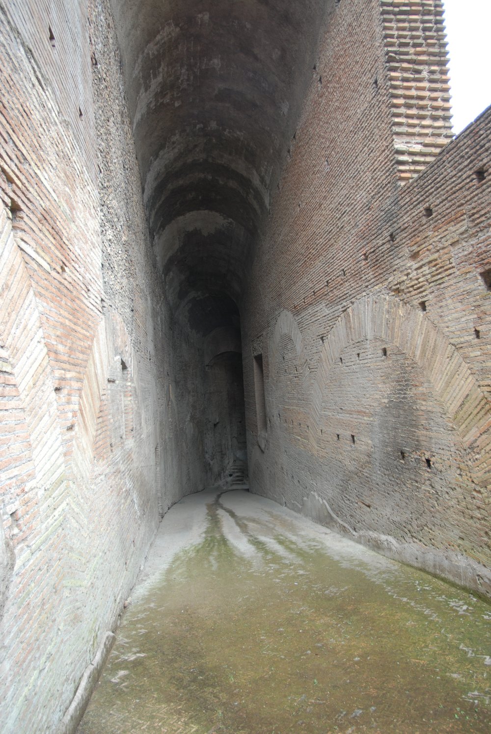 DSC_0161.JPG