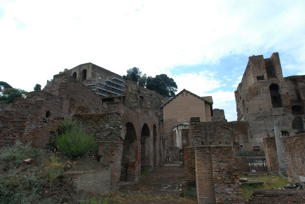 DSC_0164.JPG