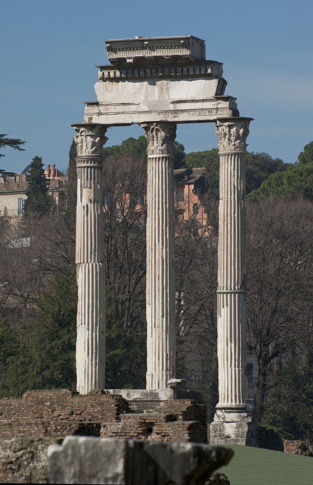 DSC_0382.jpg