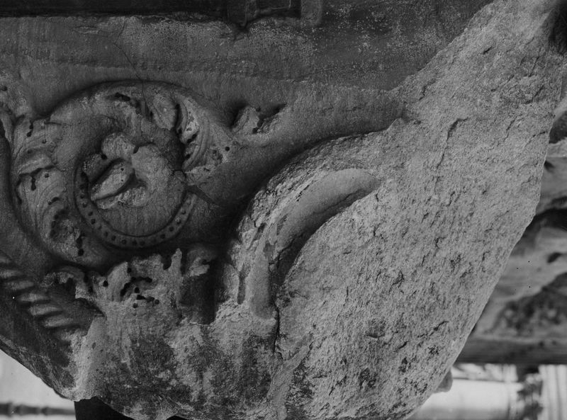 020188 - monumento - Arco di Settimio Severo, fronte est, fornice destro, voluta decorativa sul fianco sinistro della chiave d'arco; foto Accademia Americana, A. 31