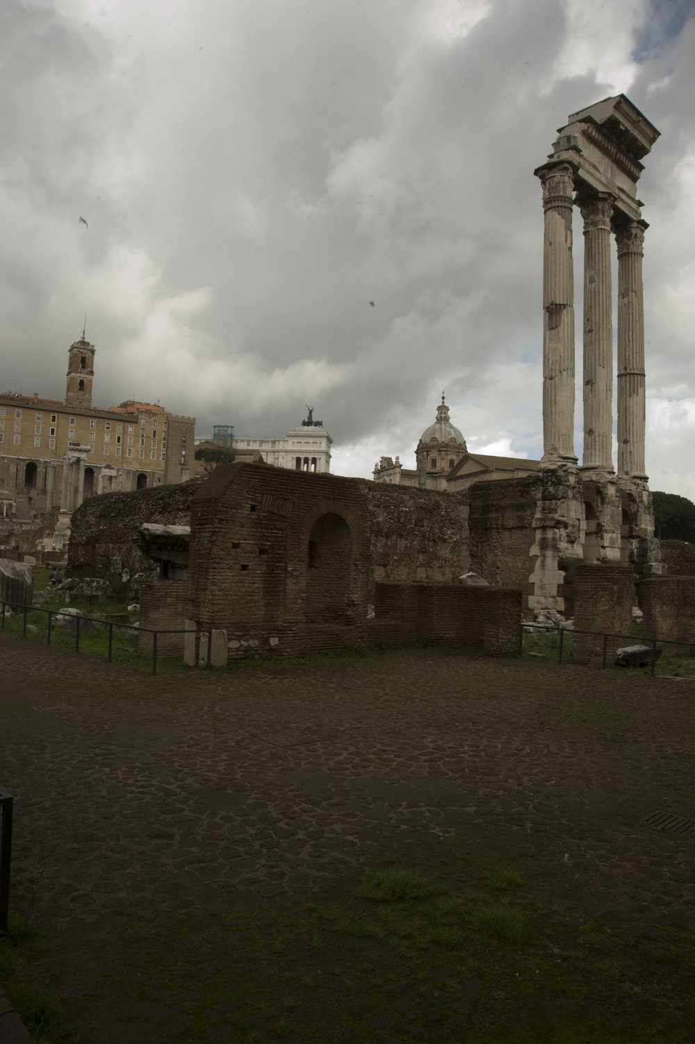 DSC_5331.jpg