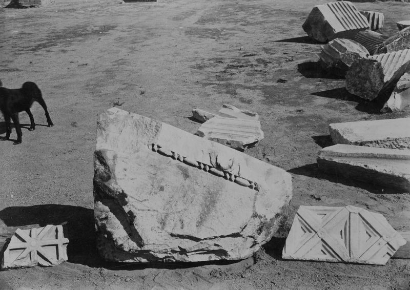 006281 - reperto - Stadio di Domiziano, frammento di architrave ionico con coronamento comprende un kyma ionico con astragalo a fusarole e perline. Senza negativo