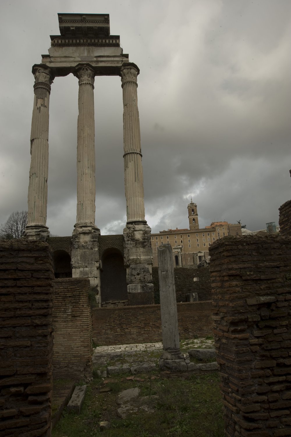 DSC_5314.jpg