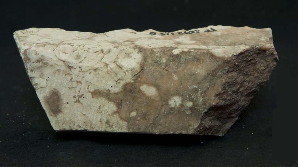 Inv. 36.TIF