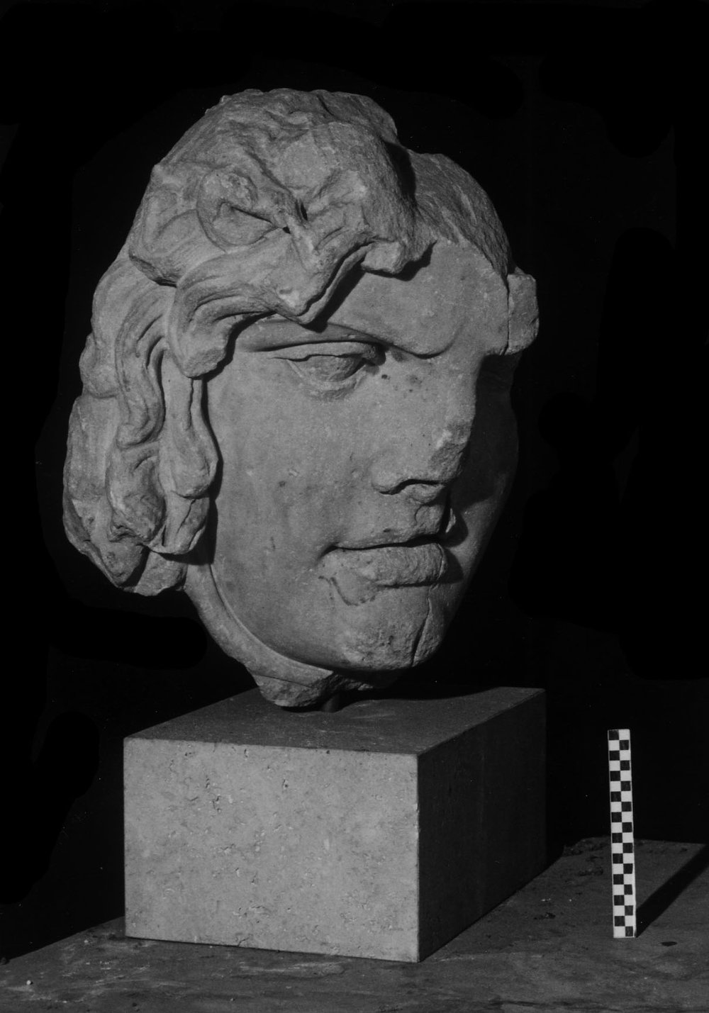 Medusa Inv 420996.jpg