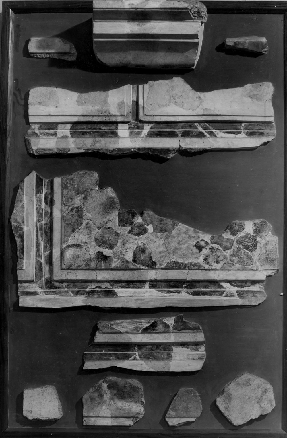 Antiquario Forense avanzi di stucchi dal Comizio.jpg