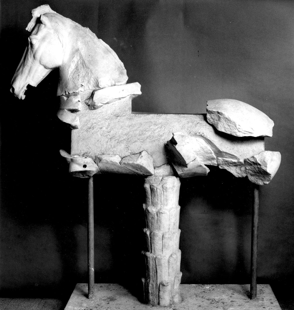 cavallo C.tif