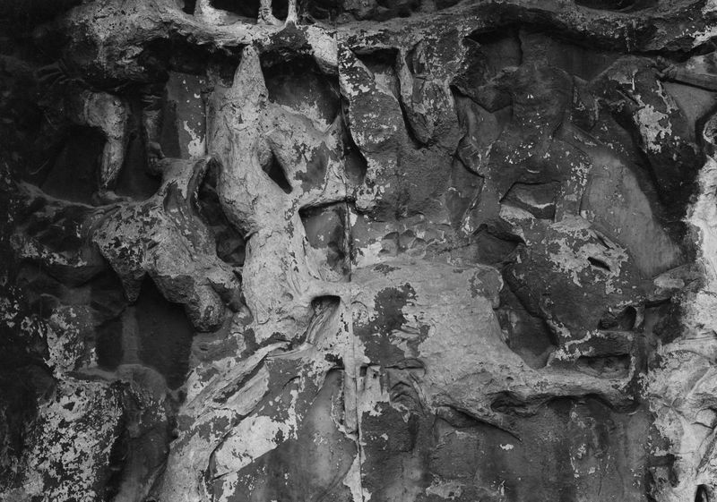 020175 - monumento - Arco di Settimio Severo, fronte orientale, pannello storico sinistro; foto Accademia Americana, n. S-E 14