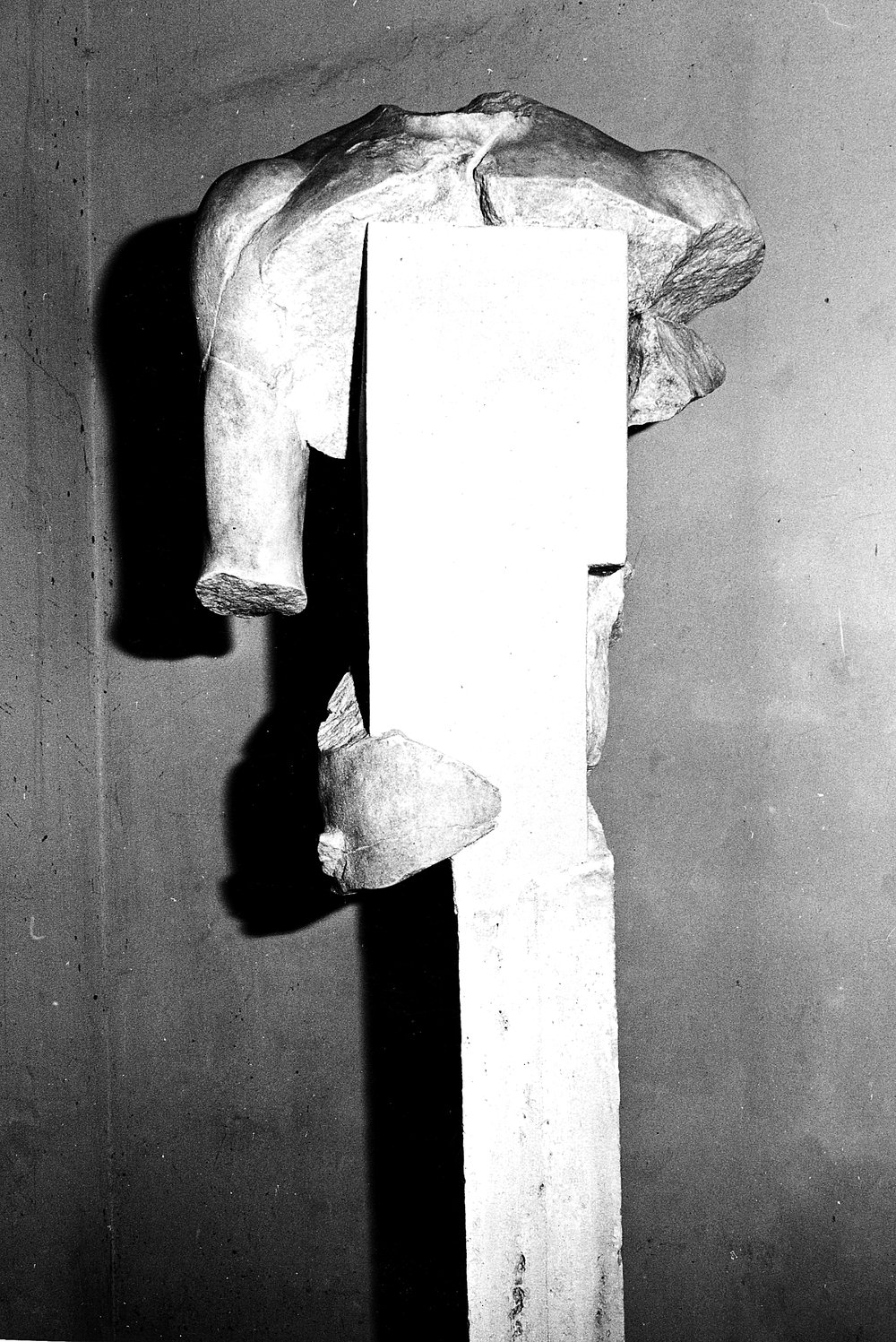 torso A (fronte).tif