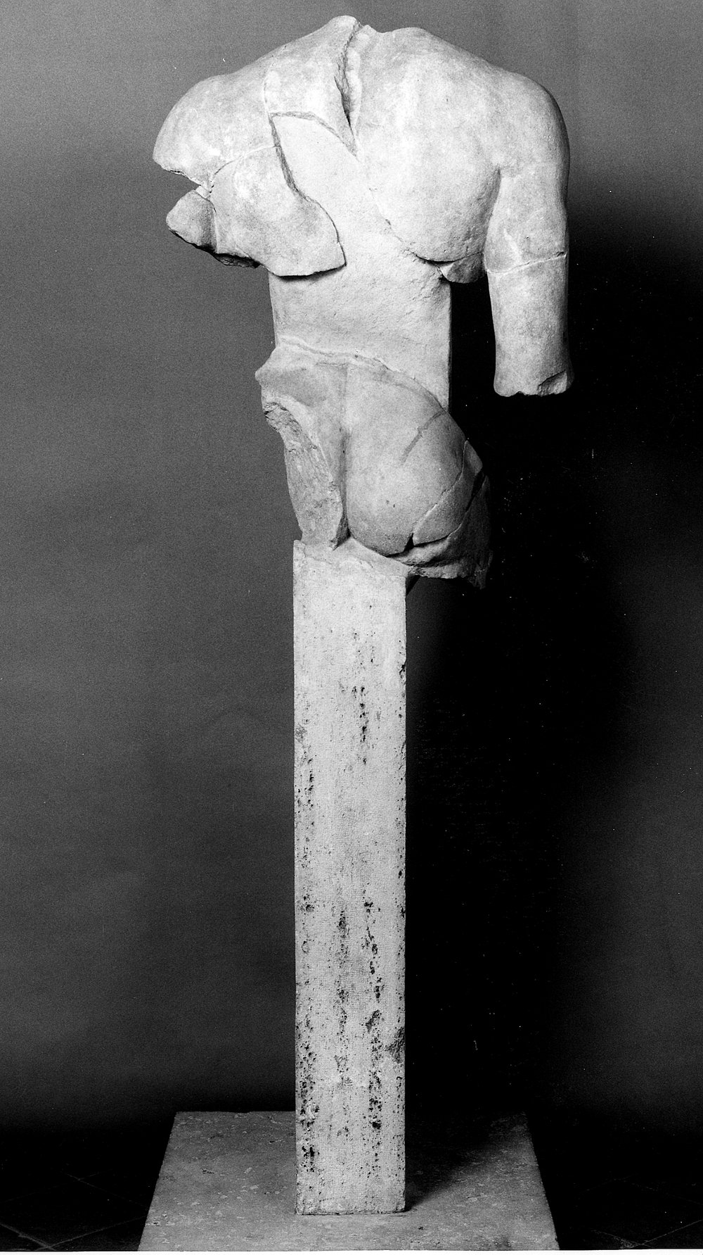torso A (retro).tif