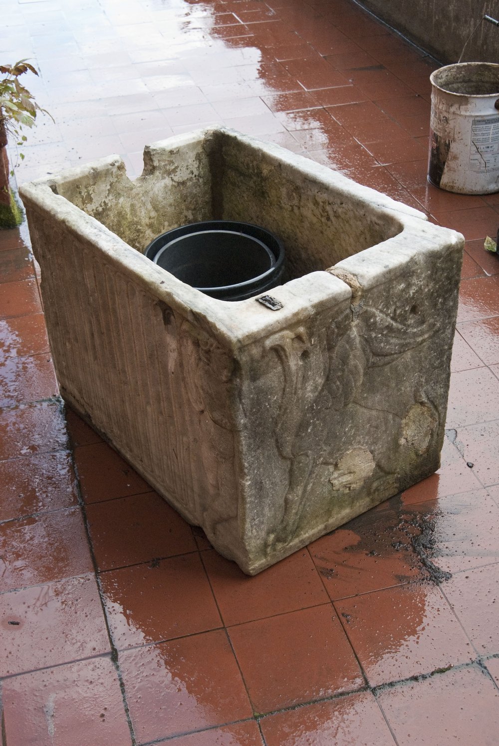 DSC_0216.JPG