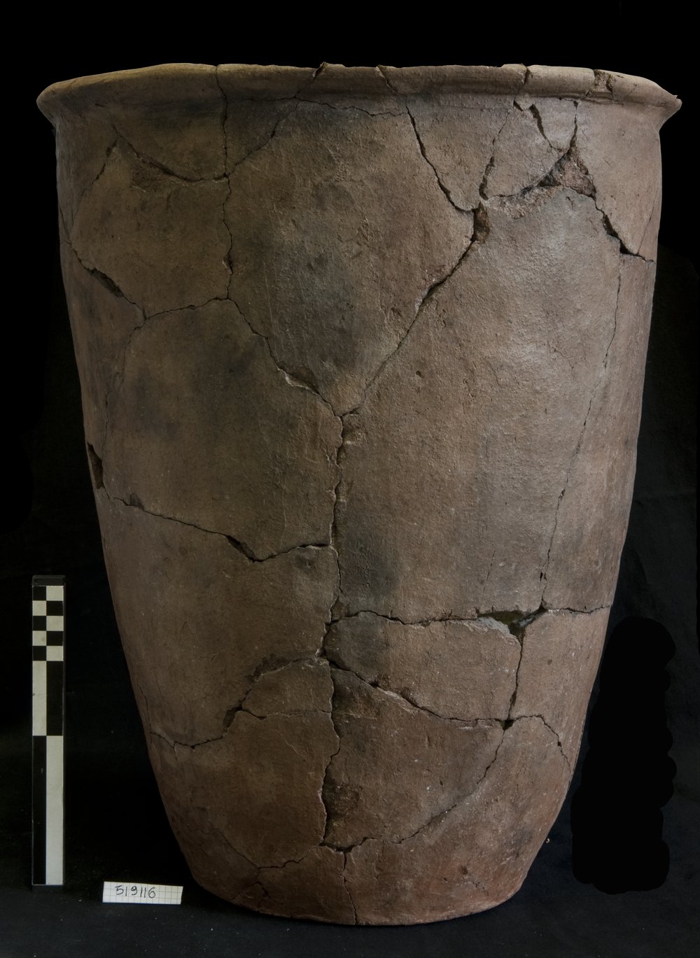 Inv.519116_2.tif