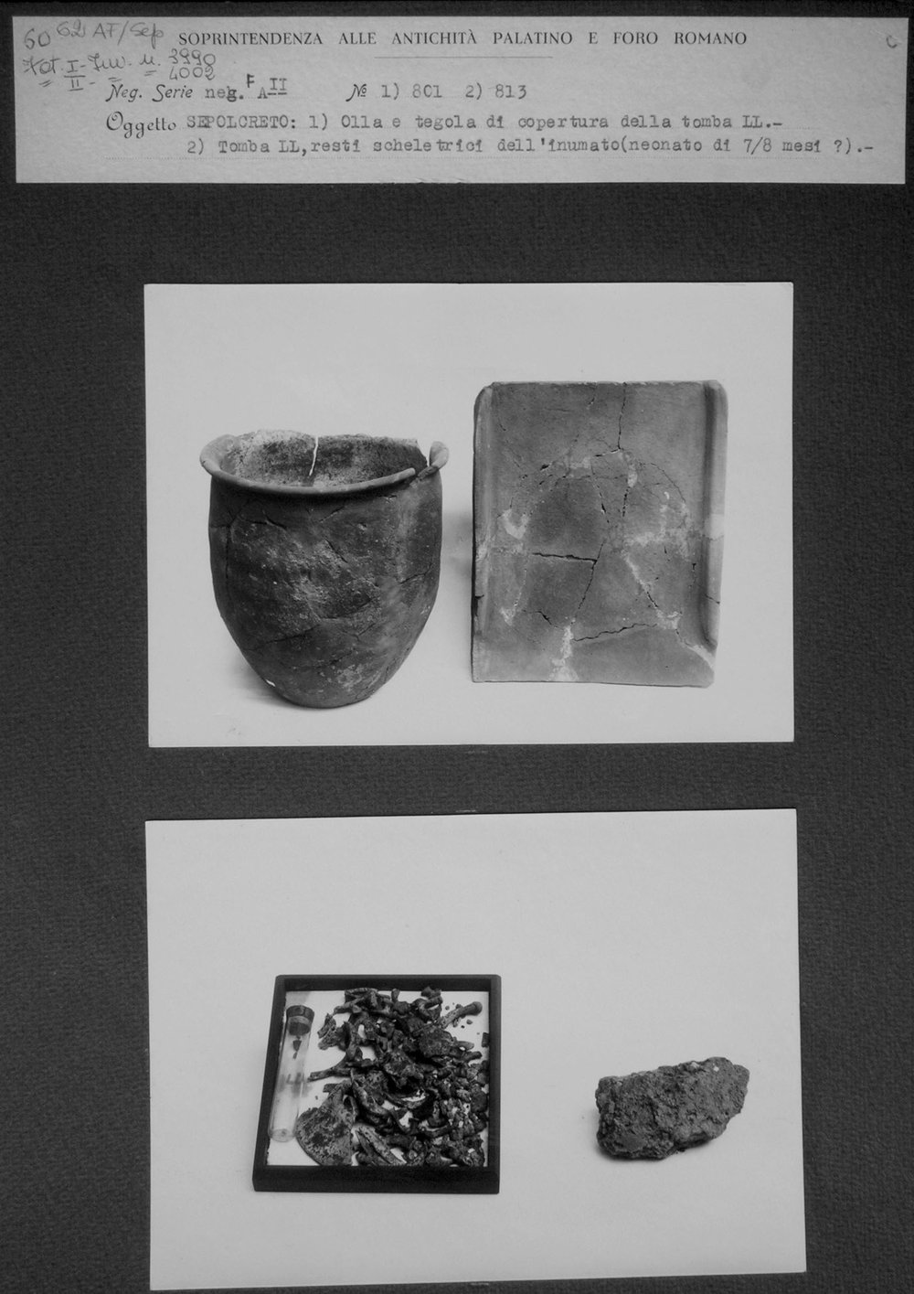 DSCN3842.JPG