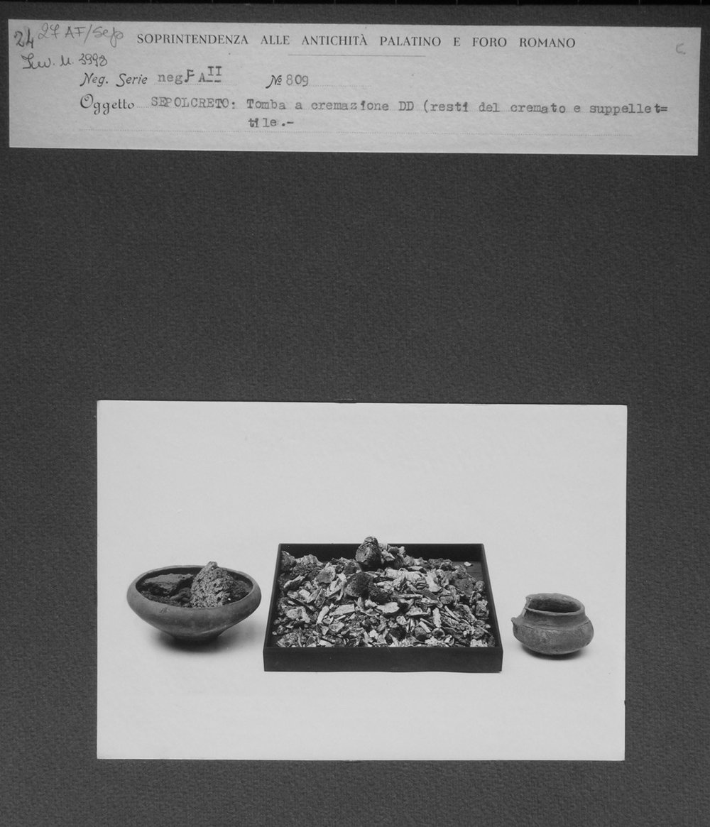 DSCN3853.JPG
