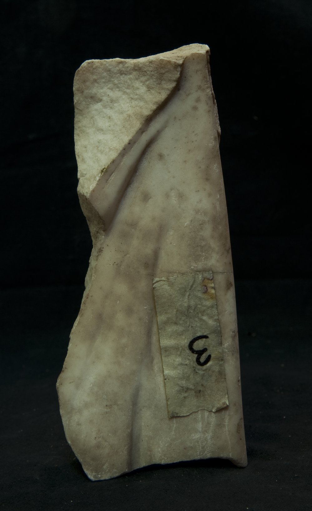 Inv.3_1.TIF