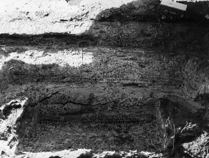 006386 - monumento - Stadio di Domiziano, lato settentrionale: particolare del cassettone dell'ambiente centrale del portico, con rivestimento in tessellato in situ (novembre 1965). Neg. serie 6x6 nÂ° 8784