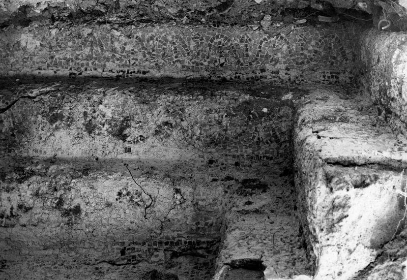 006387 - monumento - Stadio di Domiziano, lato settentrionale: particolare del cassettone dell'ambiente centrale del portico, con rivestimento in tessellato in situ (novembre 1965). Neg. serie 6x6 nÂ° 8783