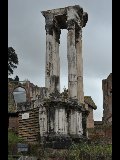 DSC_0625.NEF