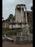 DSC_0632.NEF