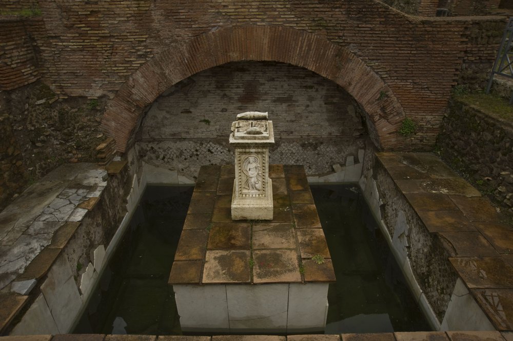 DSC_5321.jpg