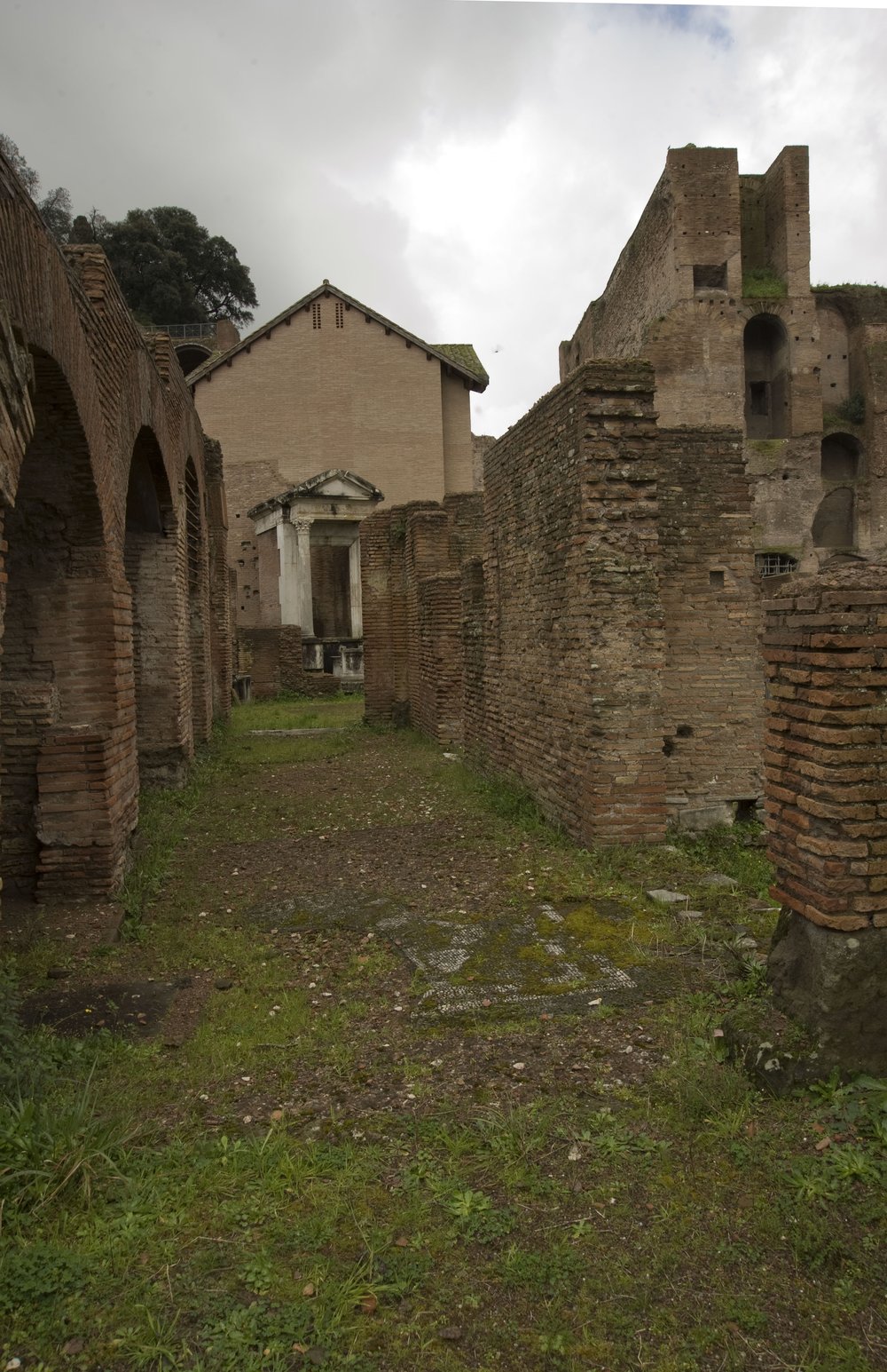 DSC_5316.jpg