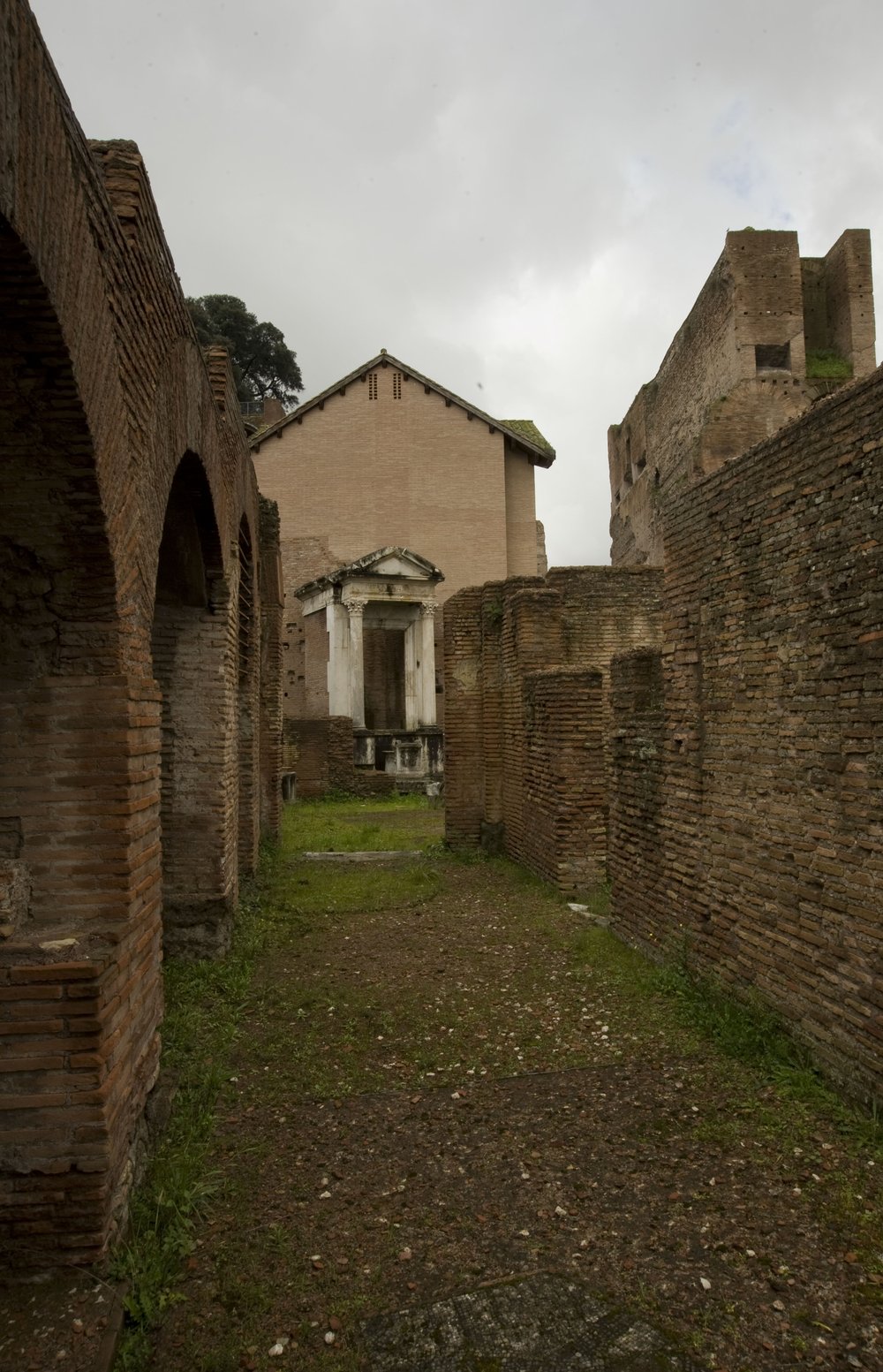 DSC_5315.jpg