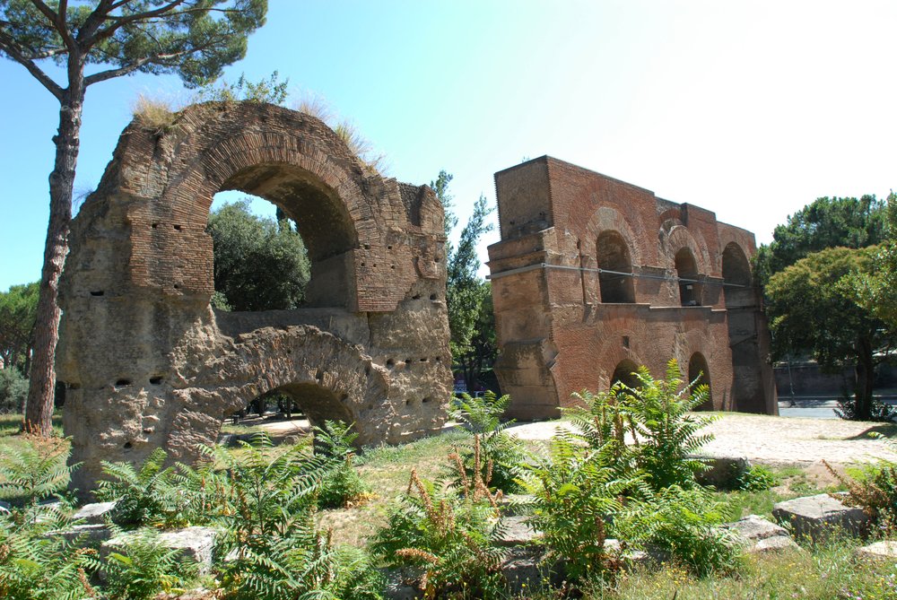 DSC_0010.JPG