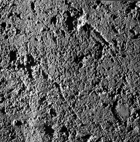 007665 - monumento - Palatino, Domus Tiberiana, ambienti sul Clivus Victoriae, graffiti nel ambiente n.4; neg. serie 6x6, n. 865