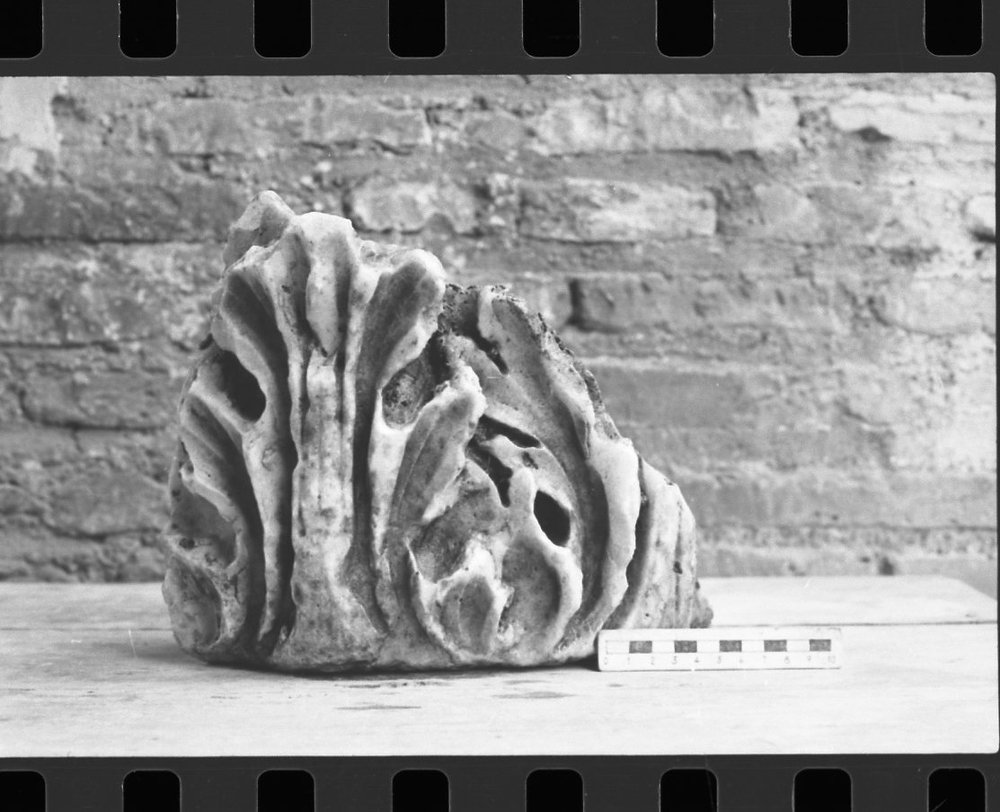 DT086.jpg