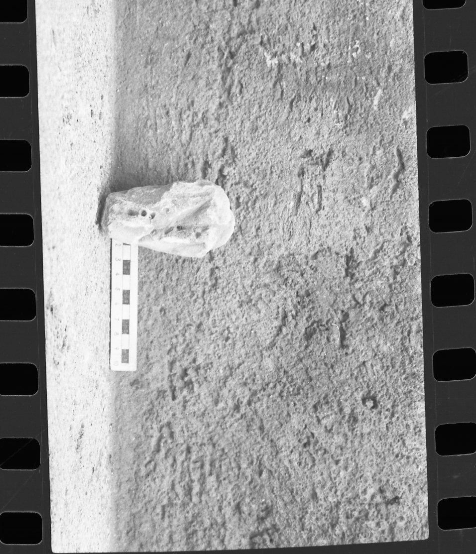 DT037.jpg