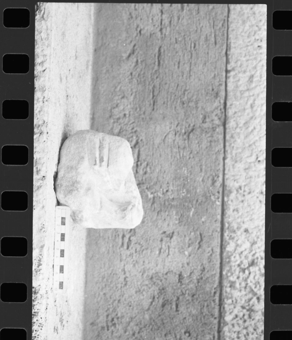 DT033.jpg