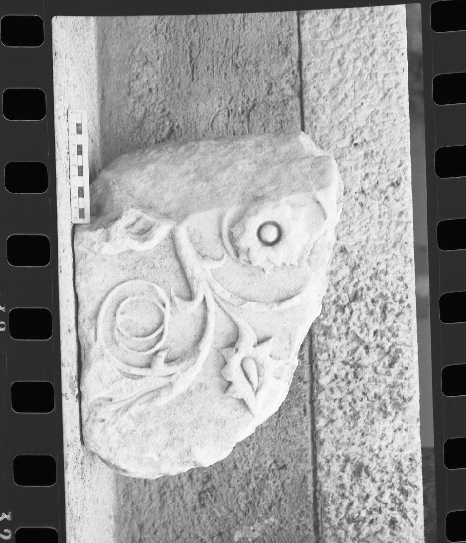 DT036.jpg