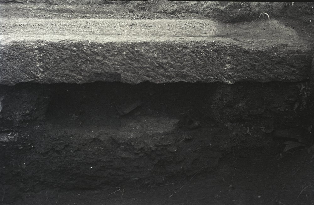 Image23.tif