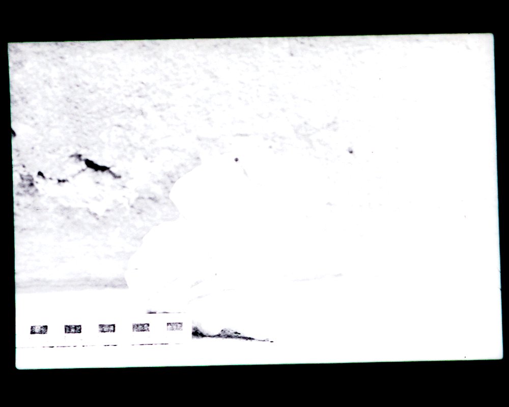 NL837.tif