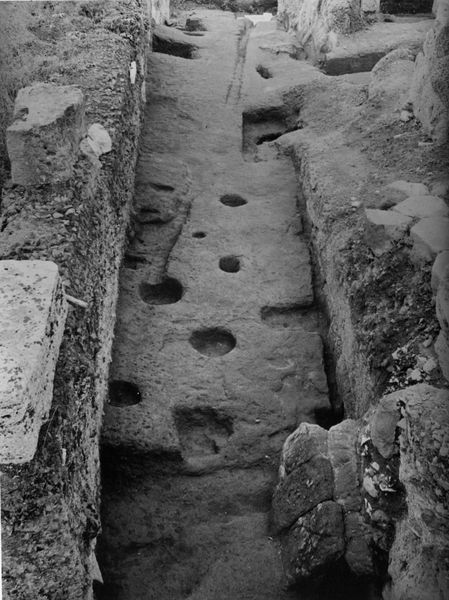 000048 - monumento - Palatino, Roma quadrata, le Scalae Caci, fori di capanne nel piano di roccia sottostante alle Scalae (foto Davico); senza negativo