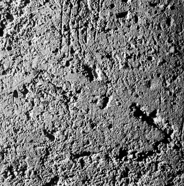 007667 - monumento - Palatino, Domus Tiberiana, ambienti sul Clivus Victoriae, graffiti nel ambiente n.4; neg. serie 6x6, n. 864