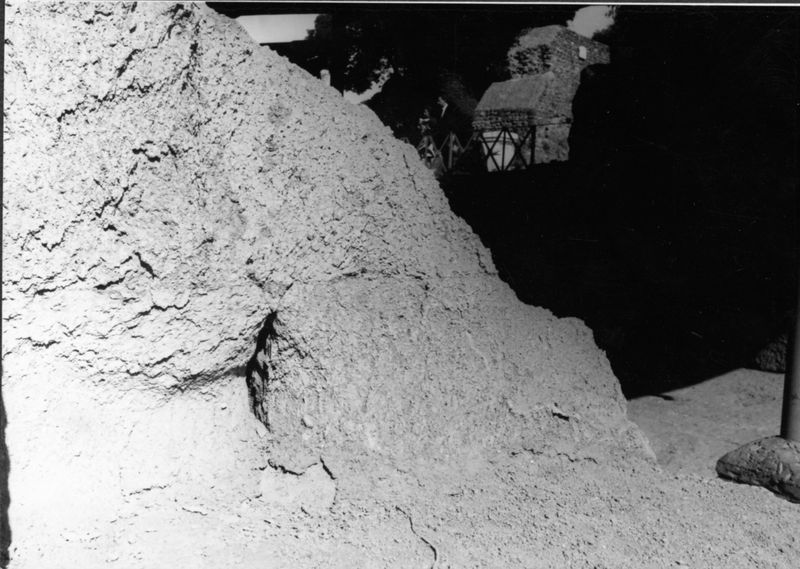 000061 - monumento - Palatino, Roma quadrata, Scalae Caci, travertino deteriorato, ottobre 1971 (foto Carettoni); FILM n. 388
