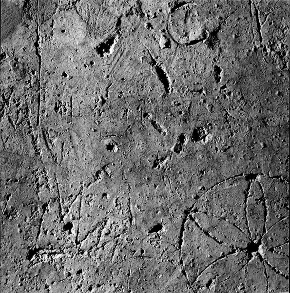 007672 - monumento - Palatino, Domus Tiberiana, ambienti sul Clivus Victoriae, graffiti nel ambiente n.5; neg. serie 6x6, n. 874