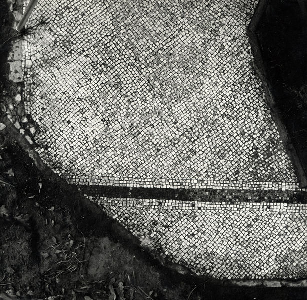 005605 - monumento - Palatino, Clivo Palatino, tratto di pavimento (mosaico) in un ambiente; (M.L. Morricone, Mos. Ant. It., Roma, R, X, 61) senza negativo