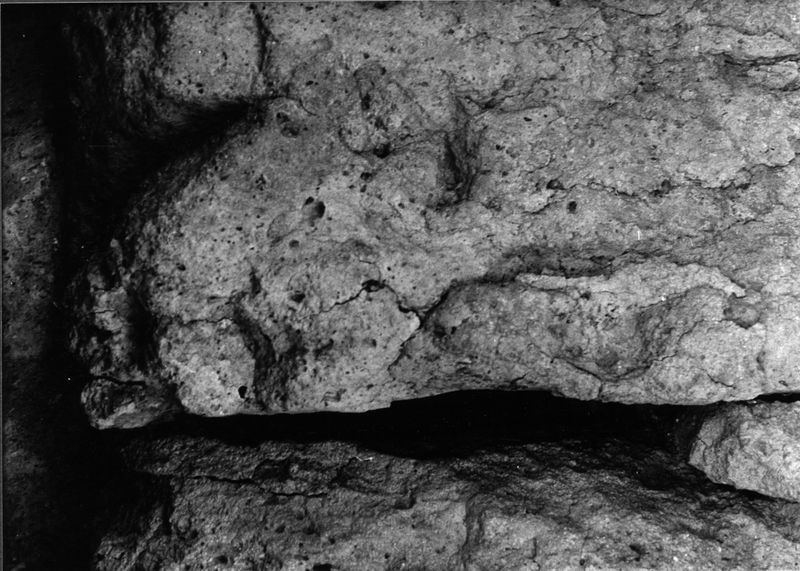 000075 - monumento - Palatino, Roma quadrata, Scalae Caci, muratura del lato occidentale, particolare di un blocco di tufo: Film n. 2462