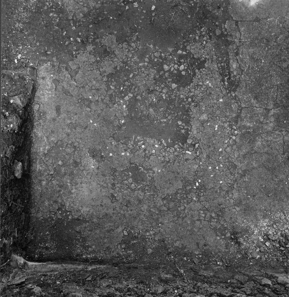 003406 - monumento - Palatino, Domus Augustana, casa repubblicana sotto il Peristilio inferiore, pavimento del Vano A (M.L. Morricone, Mos. Ant. It., Roma, R.x.5); senza negativo
