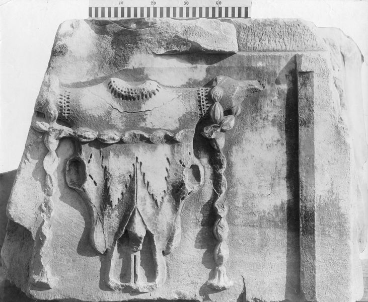 011304 - reperto - Basilica Emilia, metopa del portico della Basilica raffigurante un bucranio. Neg. Serie F