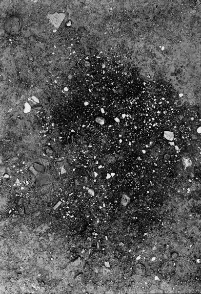 013776 - scavo archeologico - Foro Romano,Equus Domitiani,  esplorazioni stratigrafiche, strato XIV; neg. serie F, n. 293