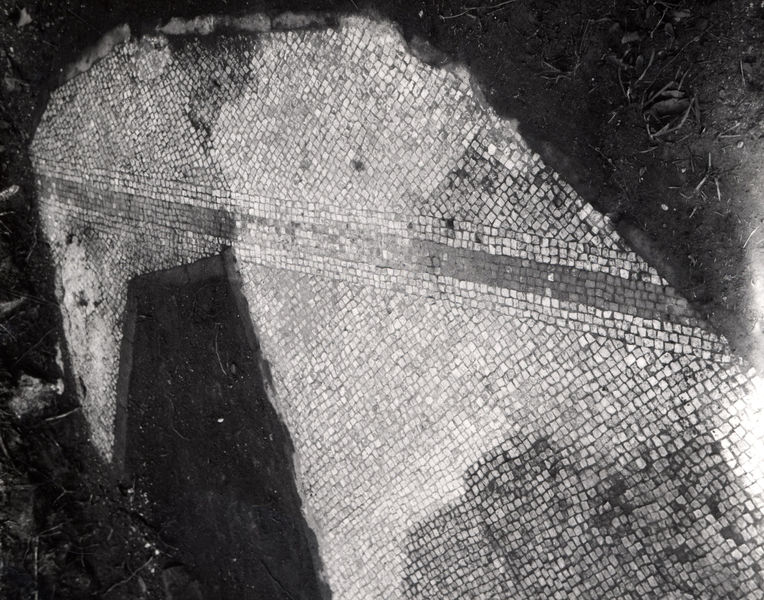 005608 - monumento - Palatino, Clivo Palatino, mosaico rinvenuto alla destra del Clivo, presso la scalinata dei Giardini Farnesiani (1965); neg. serie 6x6, img. n. 592