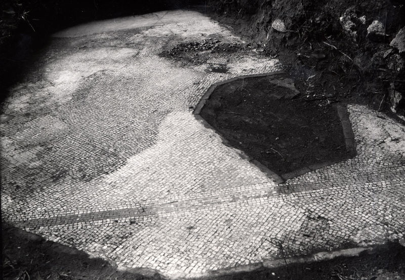 005609 - monumento - Palatino, Clivo Palatino, mosaico rinvenuto alla destra del Clivo, presso la scalinata dei Giardini Farnesiani (1965); neg. serie 6x6, img. n. 595