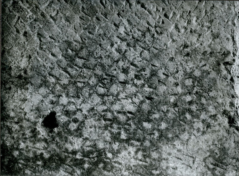 002793 - monumento - Casa di Livia, triclinio (vano D): particolare del paramento in opera reticolata con cubilia di tufo di Grotta Oscura, di circa 5/6 cm di lato.

Neg. Serie Gabinetto Fotografico Nazionale  E nÂ° 28473