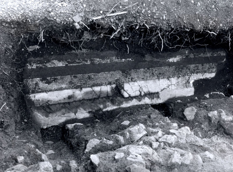 005610 - monumento - Palatino, zona Tiberiana (inizio del Clivo Palatino), mosaici rinvenuti durante i lavori del 1982; neg. serie Film, n. 1089