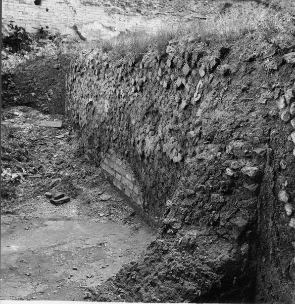 003408 - monumento - Domus Augustana, peristilio inferiore: ambienti sottostanti presso il lato Sud, veduta del pavimento in cocciopisto; senza negativo