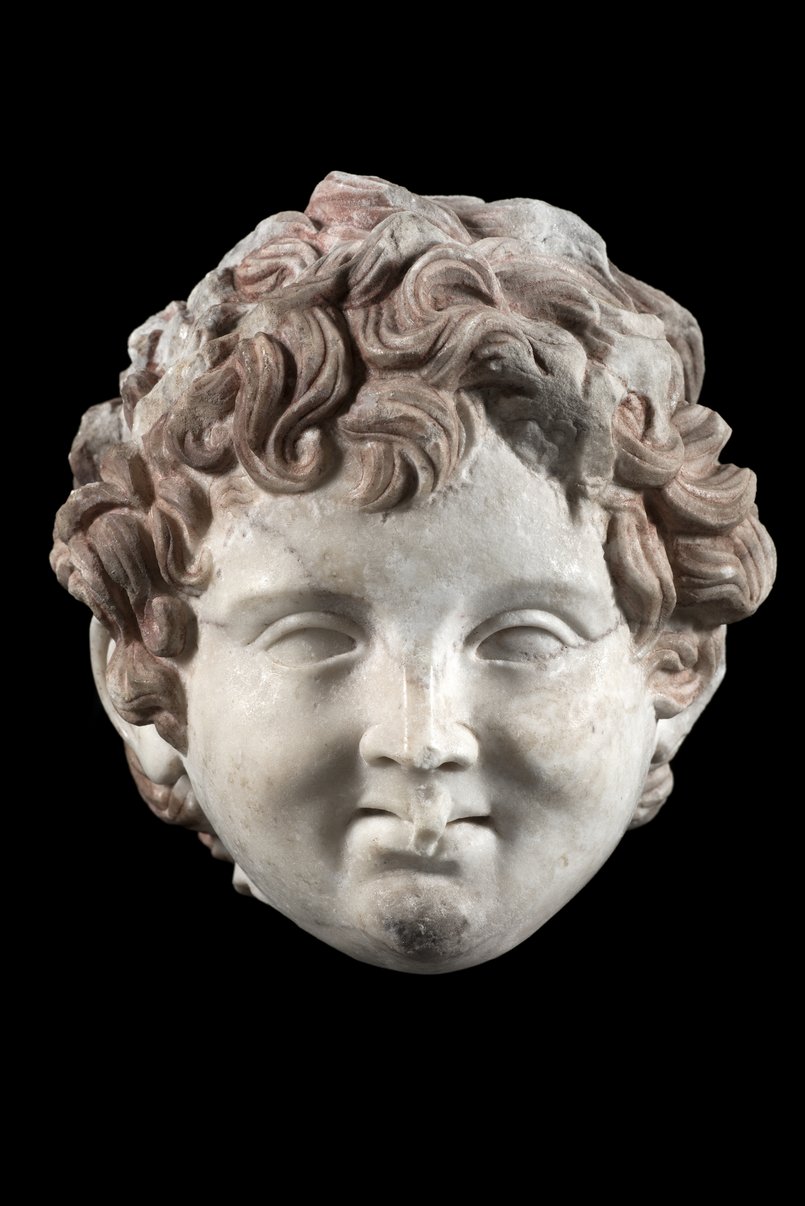 testa di Arpocrate